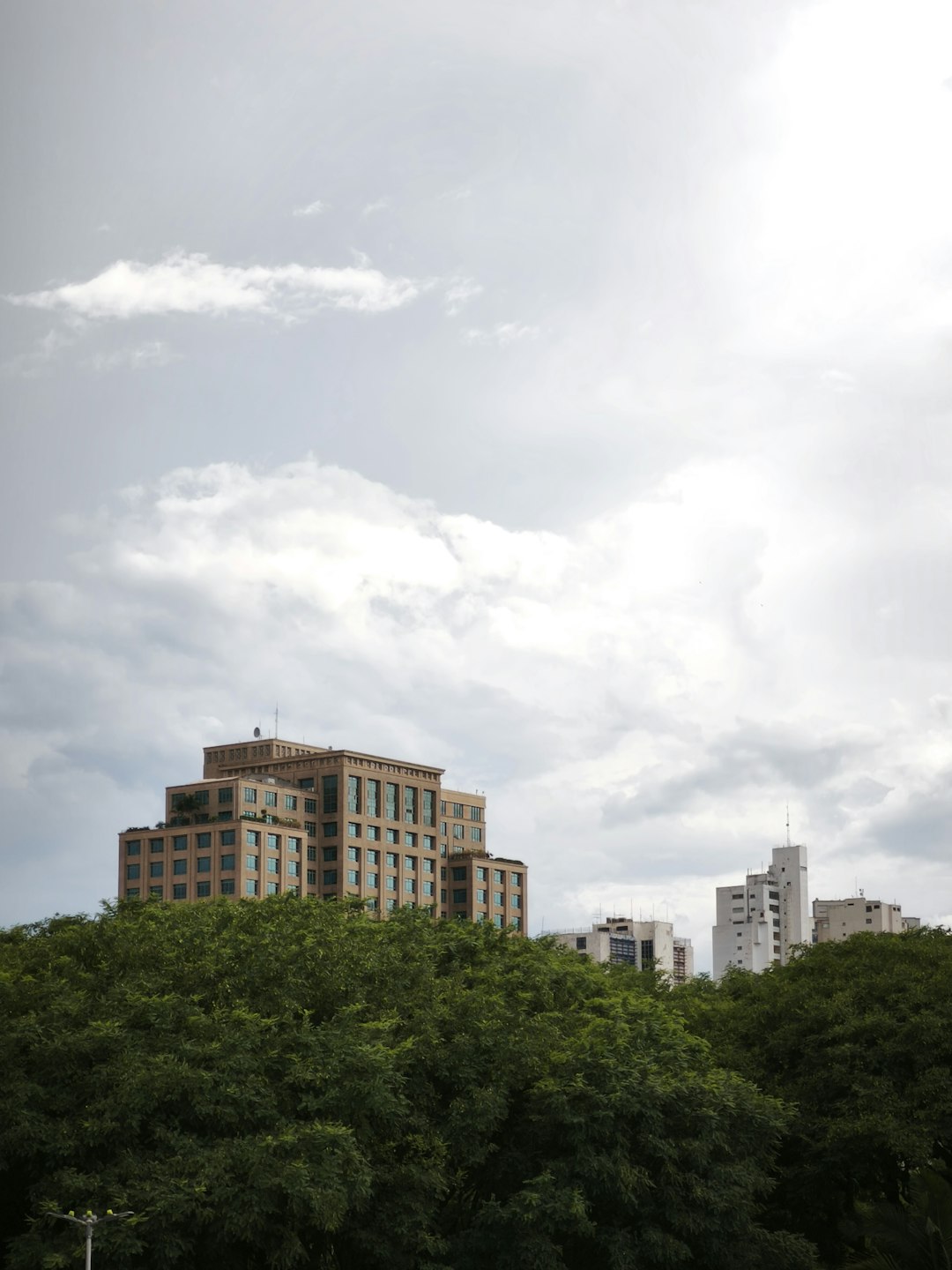 buildings-rise-above-lush-green-trees-under-cloudy-sky-50xkqwthv-g